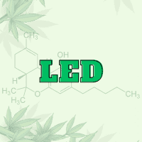 LED