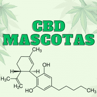 Mascotas