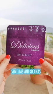 Nos ha costado volver, porque aún estábamos con el cora roto después de perder nuestra cuenta tras un año de trabajo, pero aquí estamos. 

Gracias a todos por el apoyo y por ser parte de esta pequeña familia ❤️