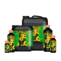 Terra Max Atami (floración)