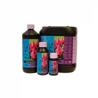 Blossom builder 250ml B'Cuzz