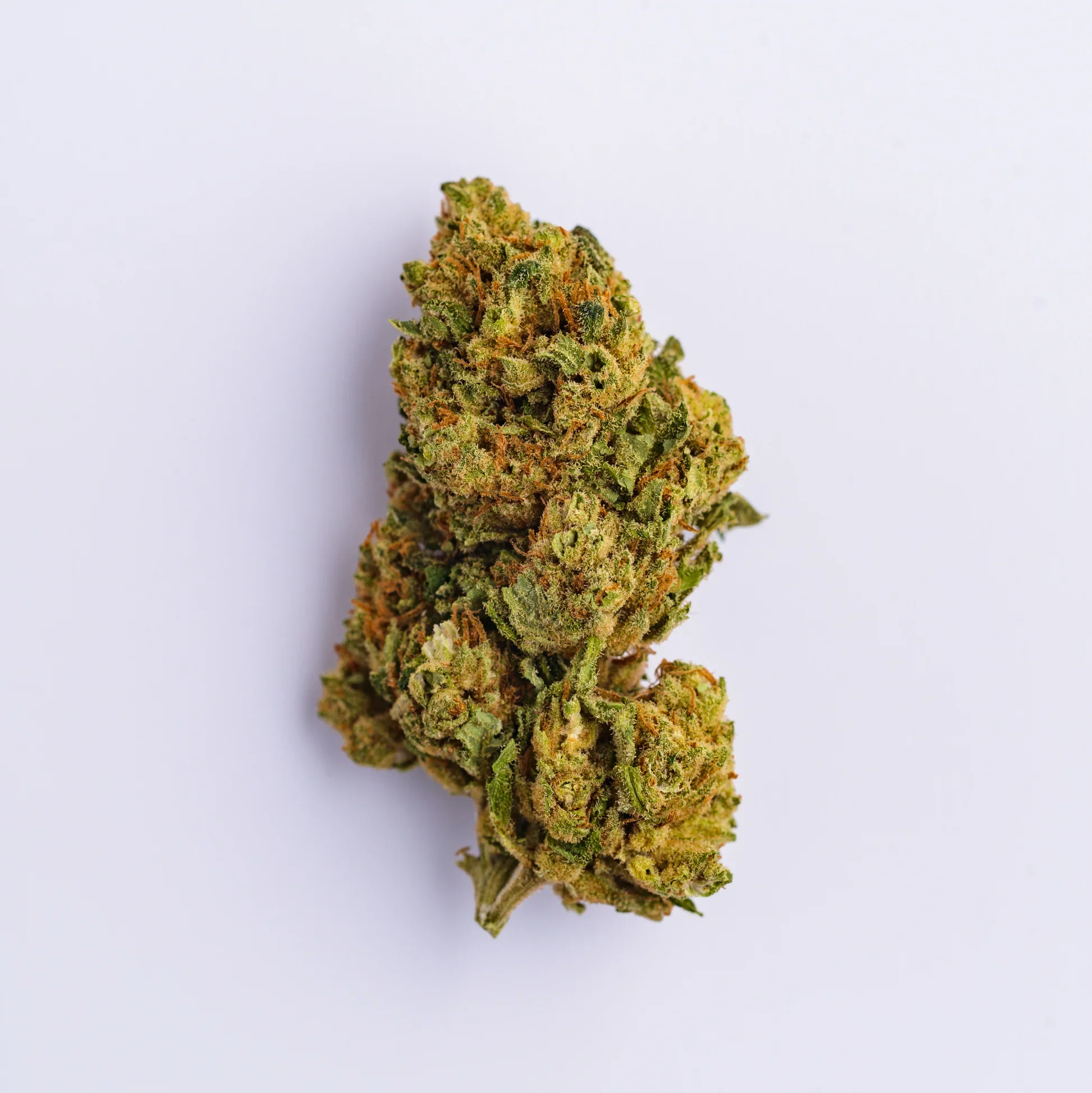 Liligrow - Iron Man (cbd fanatics) - Ironmanflor 1