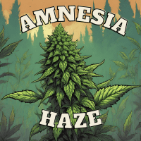 Amnesia Haze Feminizada (2 euros)