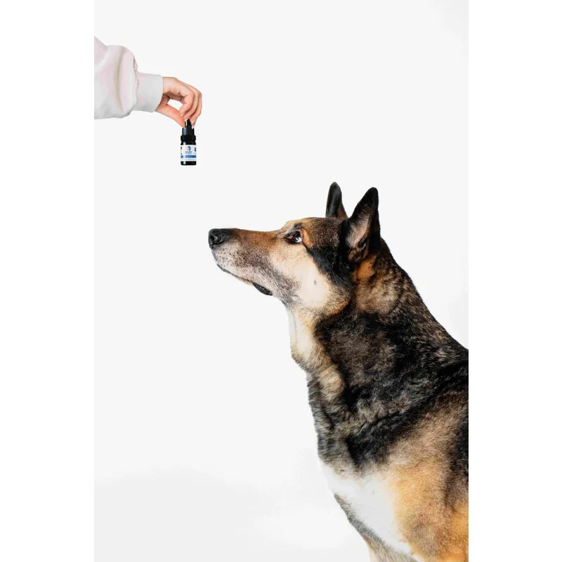 cod-liver-oil-cbd-6-10-ml2