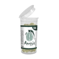 Flores Amnesia CBD 1,5g (plant of life)