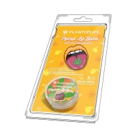 Lipbalm Mango 1% CBD - 0,5 CBG