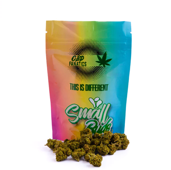 11-3.-Small_buds_53235b47-4d65-4677-b45f-e1a35d353a2f_600x