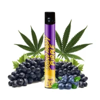 Wpuff 800 puffs - GRAND DADDY PURPLE