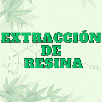 Extracción de Resina