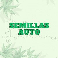 Semillas Autoflorecientes