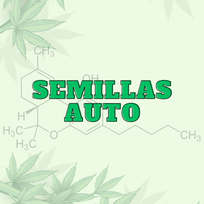 Semillas Autoflorecientes