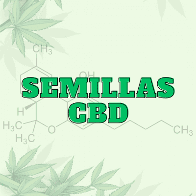 Semillas CBD