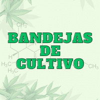 Bandejas de Cultivo