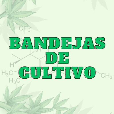 Bandejas de Cultivo