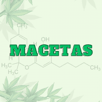Macetas