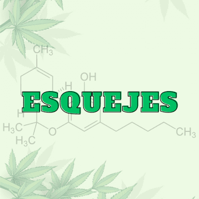 Esquejes