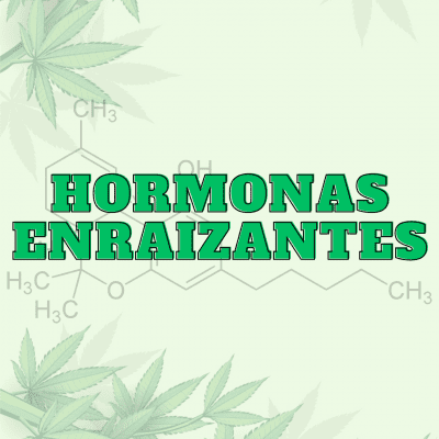 Hormonas Enraizantes