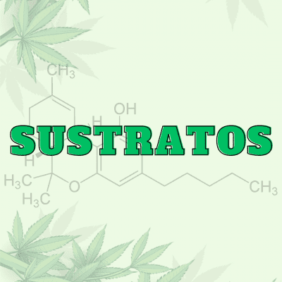 Sustratos