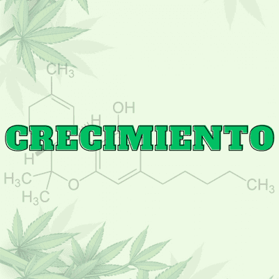 Crecimiento