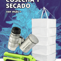 Cosecha y Secado