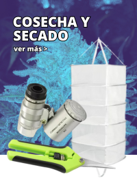 Cosecha y Secado