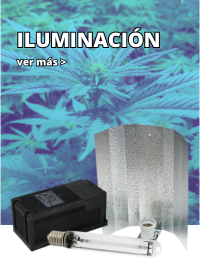 Iluminación