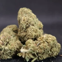 Mango Haze 3g (the cbd star)