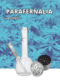Parafernalia