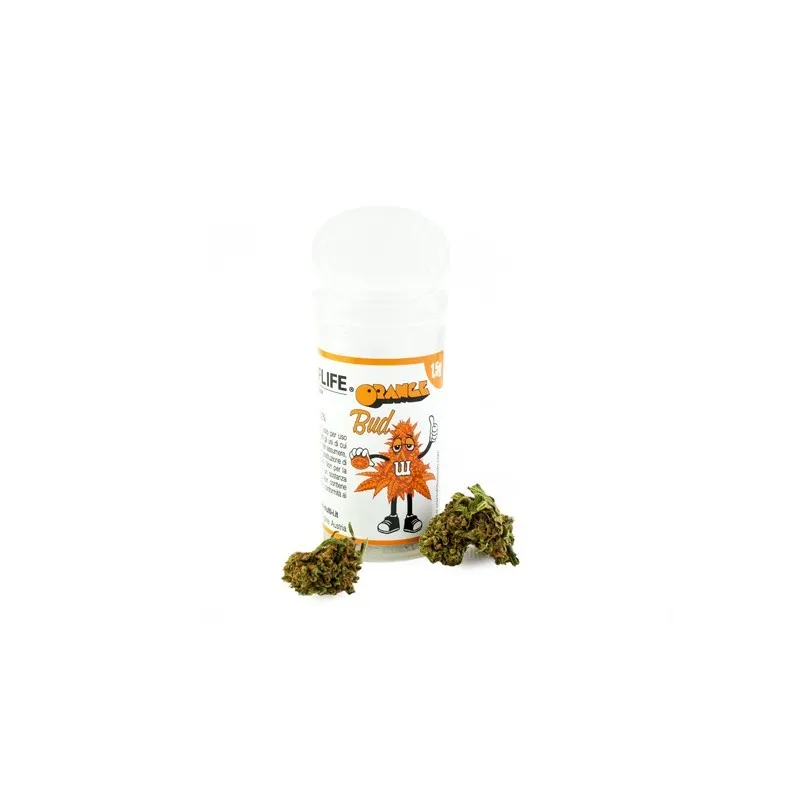 flowers-orange-bud-15g11
