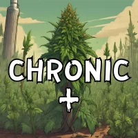 Chronic+   1un.