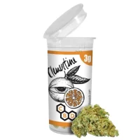 Clementine 3g (plan of life)