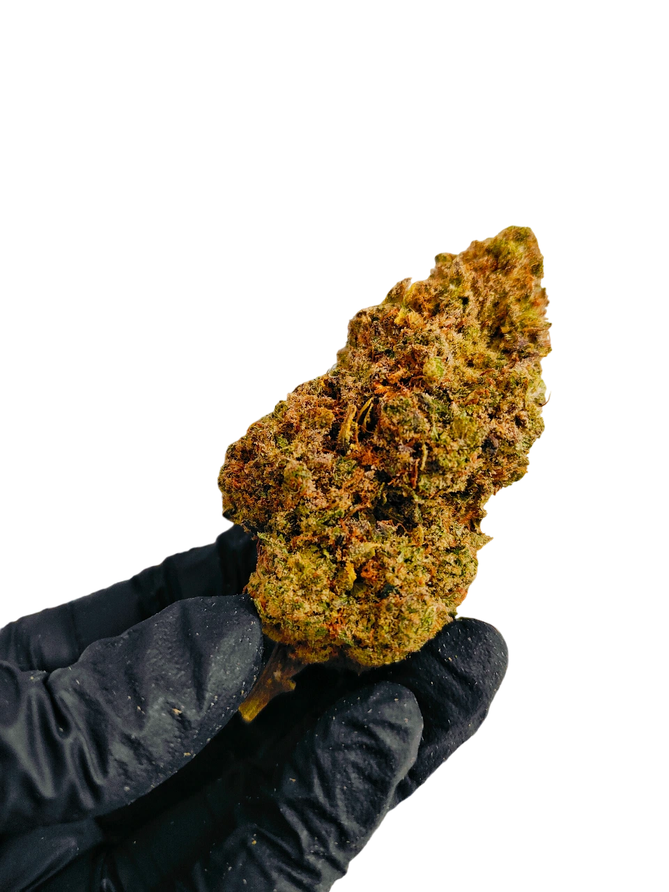 Liligrow - Mimosa (Lili buds) - IMG20241013192548 Photoroom