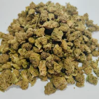 Small Buds Amnesia 10g (Lili buds)