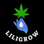 @liligrow_es