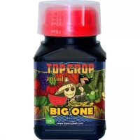 Big One 250ml Top Crop
