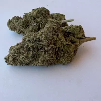 Crystal Snow (Lilibuds)