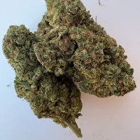 Oreo Cookies (Lilibuds)