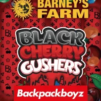 Black Cherry Gushers 3un. (Barney's Farm)